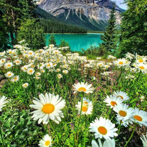 สมาชิกหมายเลข 4959082