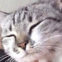 สมาชิกหมายเลข 5323061