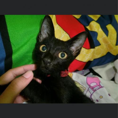 สมาชิกหมายเลข 4133998