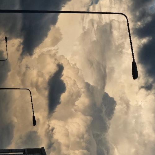 สมาชิกหมายเลข 2973993