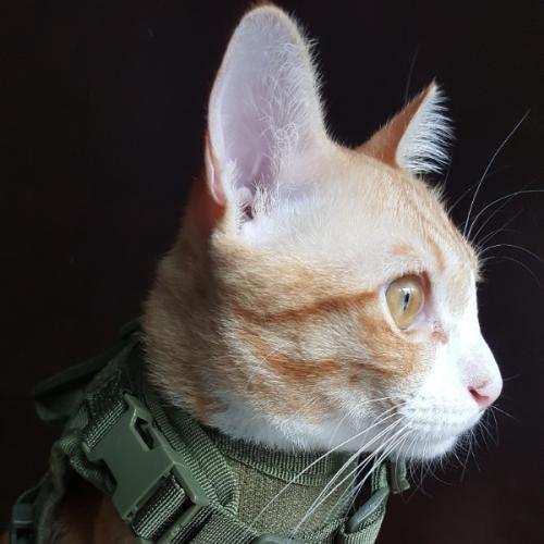 สมาชิกหมายเลข 7849975