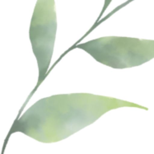 สมาชิกหมายเลข 8787331