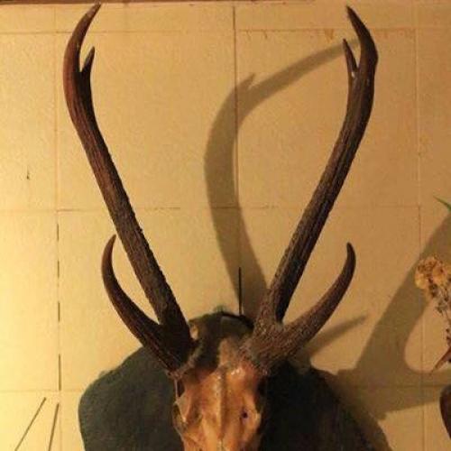 สมาชิกหมายเลข 4580529