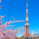 สมาชิกหมายเลข 712534