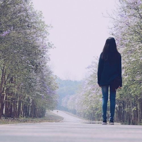 สมาชิกหมายเลข 4924464