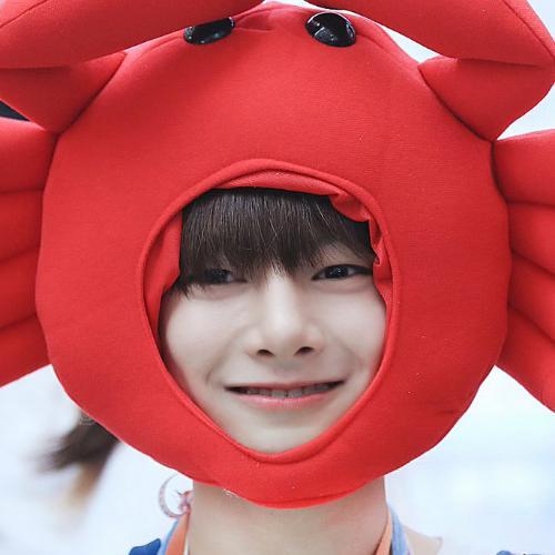 สมาชิกหมายเลข 4924670