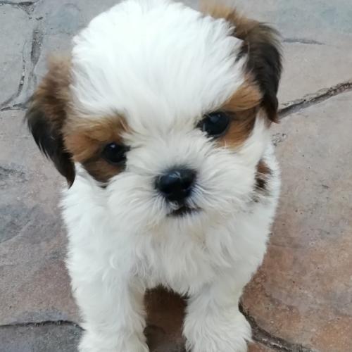 สมาชิกหมายเลข 1456801