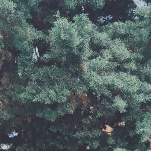 สมาชิกหมายเลข 3880480