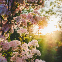 สมาชิกหมายเลข 5317750