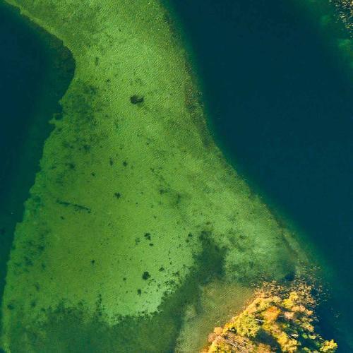 สมาชิกหมายเลข 6246222