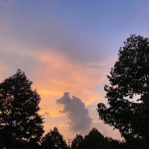 สมาชิกหมายเลข 5767993