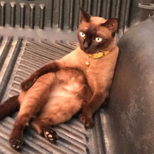 สมาชิกหมายเลข 7076550