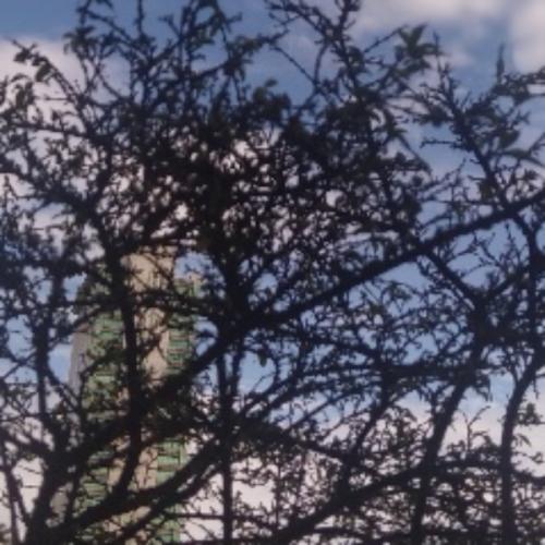 สมาชิกหมายเลข 7851077