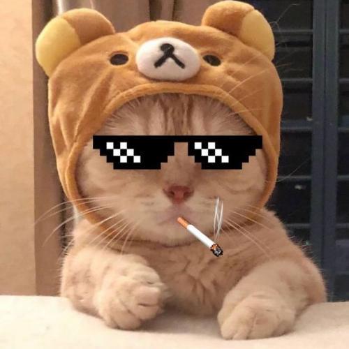 สมาชิกหมายเลข 4084324