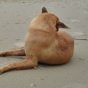 สมาชิกหมายเลข 4172131