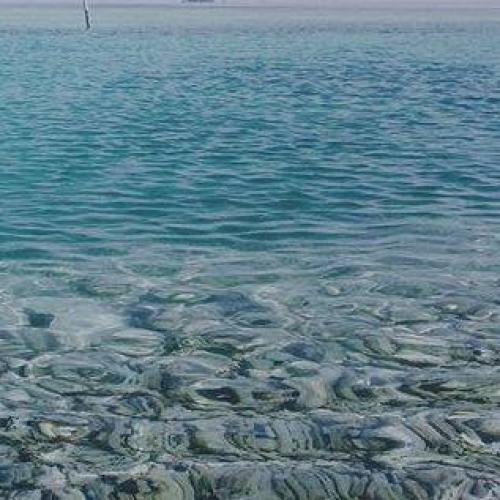 สมาชิกหมายเลข 2972139