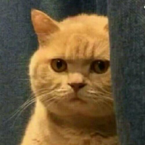 สมาชิกหมายเลข 4121140