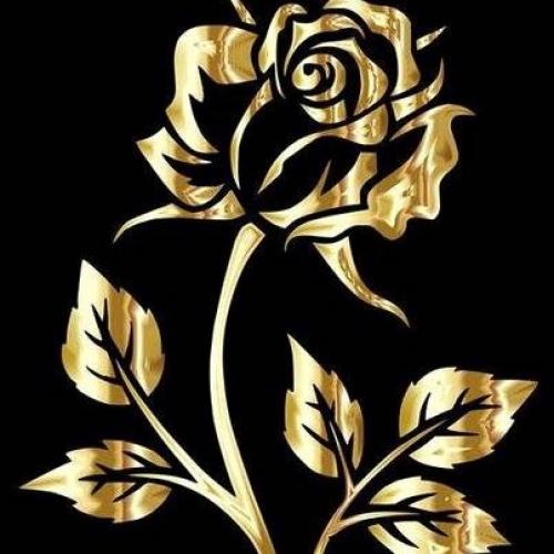 สมาชิกหมายเลข 4924807