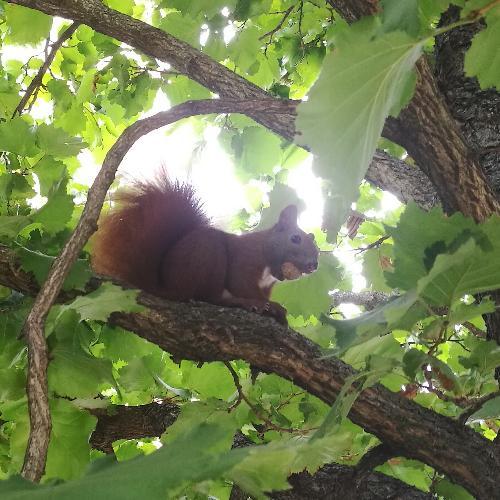 สมาชิกหมายเลข 4924842