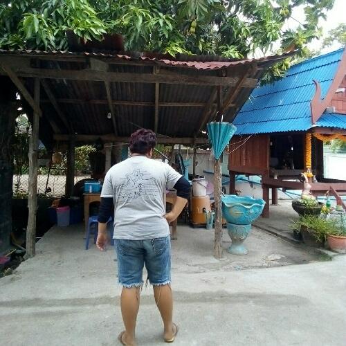 สมาชิกหมายเลข 5323415