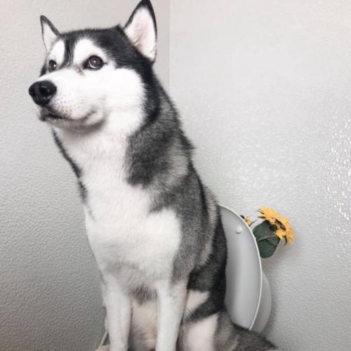 สมาชิกหมายเลข 2212761