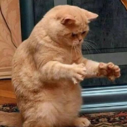 สมาชิกหมายเลข 5788376