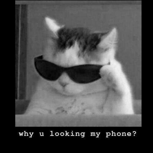 สมาชิกหมายเลข 6389883