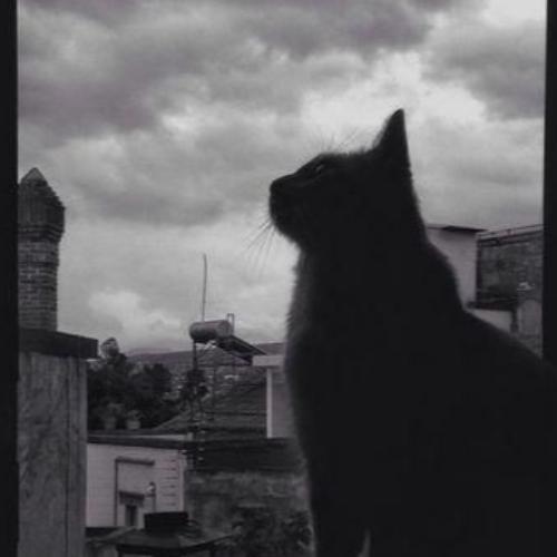 สมาชิกหมายเลข 6390216