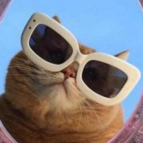 สมาชิกหมายเลข 5116066