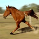 สมาชิกหมายเลข 2794579