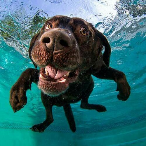 สมาชิกหมายเลข 2937608