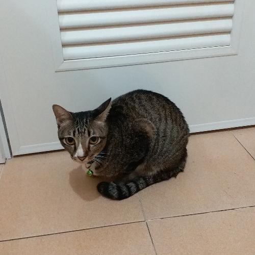 สมาชิกหมายเลข 2497489