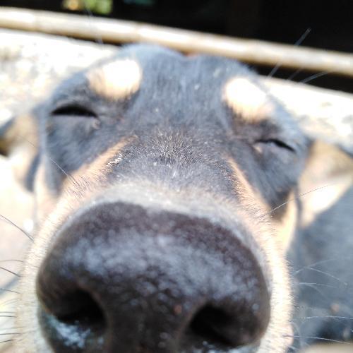 สมาชิกหมายเลข 4862795