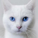 สมาชิกหมายเลข 5270128