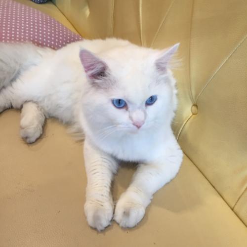 สมาชิกหมายเลข 5323916