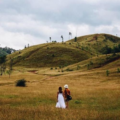 สมาชิกหมายเลข 4122559