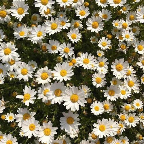 สมาชิกหมายเลข 5787875