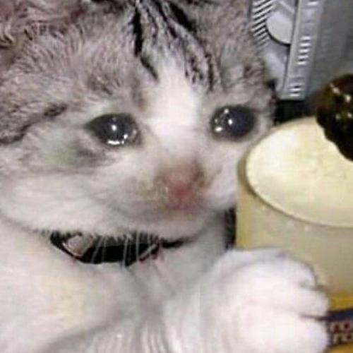 สมาชิกหมายเลข 6008108