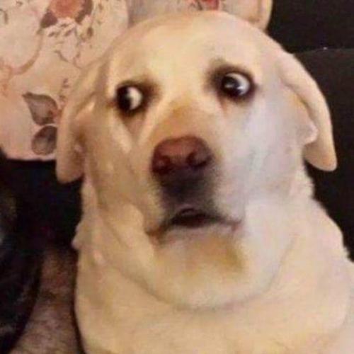 ชาวออฟฟิศ