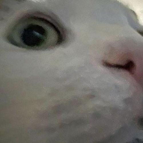 สมาชิกหมายเลข 7852316