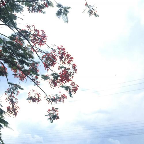 สมาชิกหมายเลข 4581571