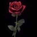 สมาชิกหมายเลข 4581613