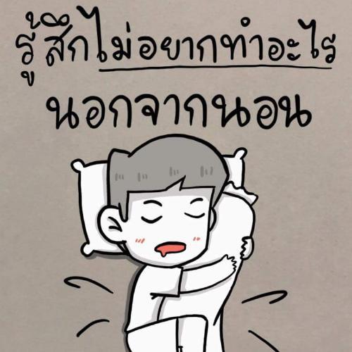 สมาชิกหมายเลข 4925832