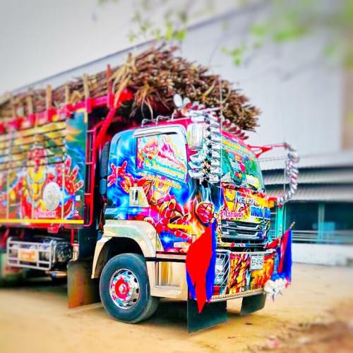 สมาชิกหมายเลข 5324483