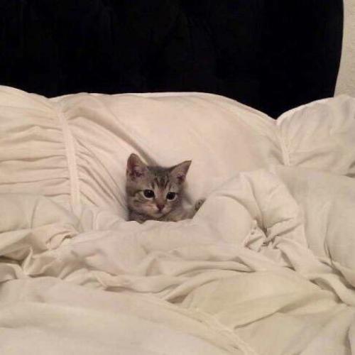 สมาชิกหมายเลข 5789787