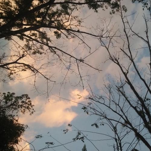 สมาชิกหมายเลข 5789804