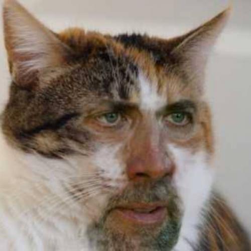 สมาชิกหมายเลข 4467448