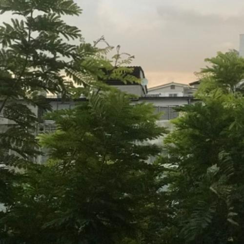 สมาชิกหมายเลข 5108686