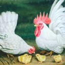 สมาชิกหมายเลข 3552422