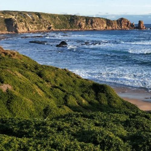 สมาชิกหมายเลข 4216268